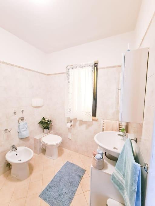 Lovely Flat With See View 로세토데글리아브루찌 외부 사진